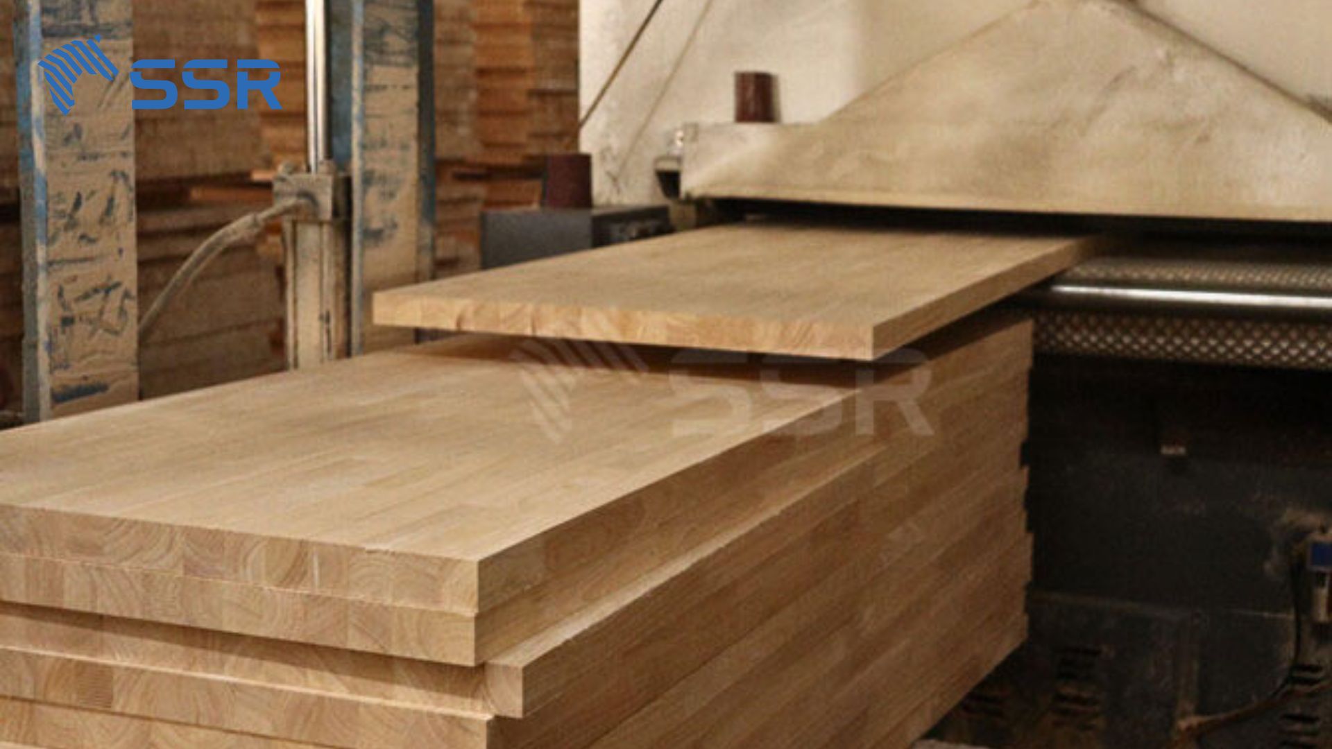 Rubber wood finger joint board manufacturing process