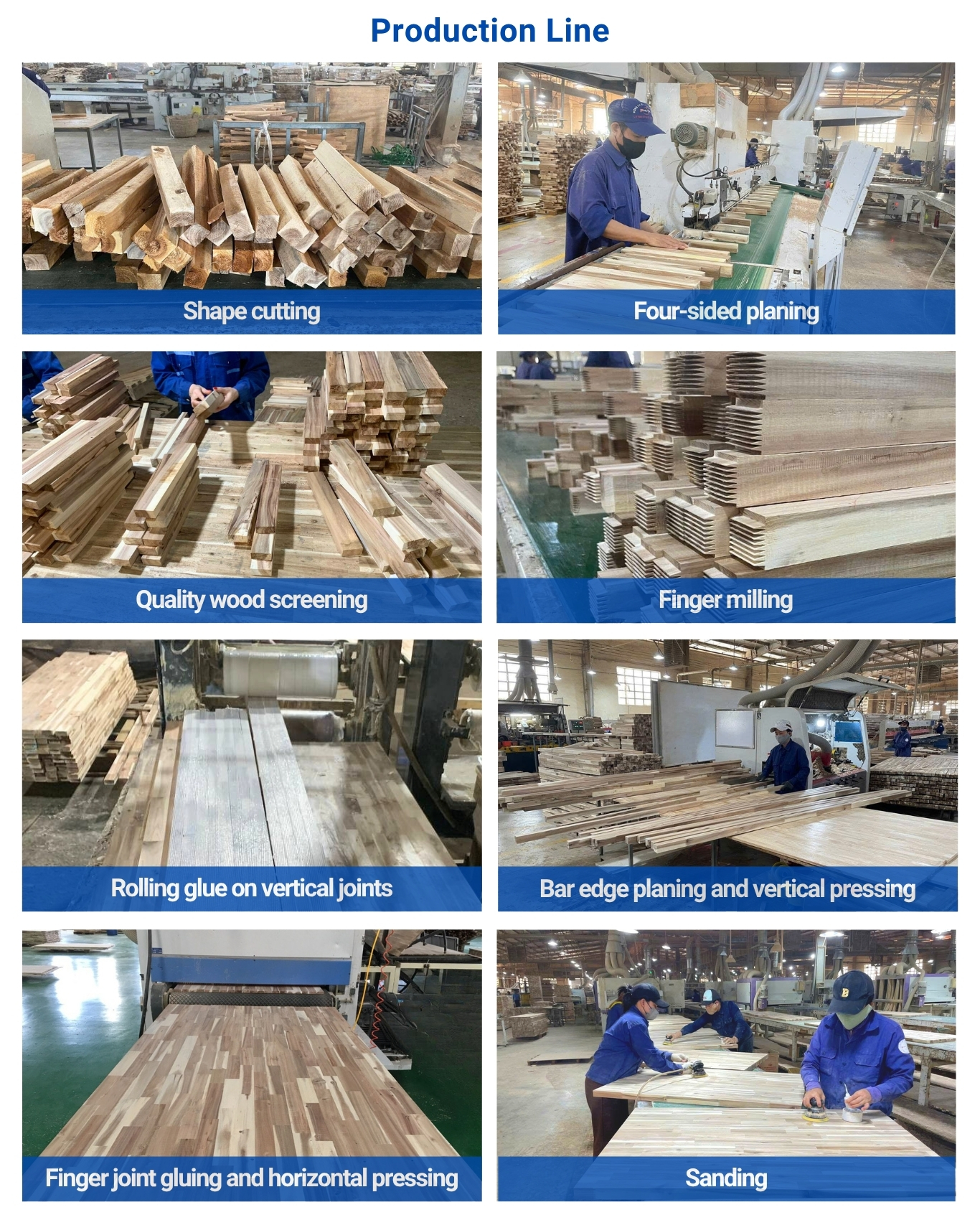 Acacia Wood Finger Joint Board (Producer)
