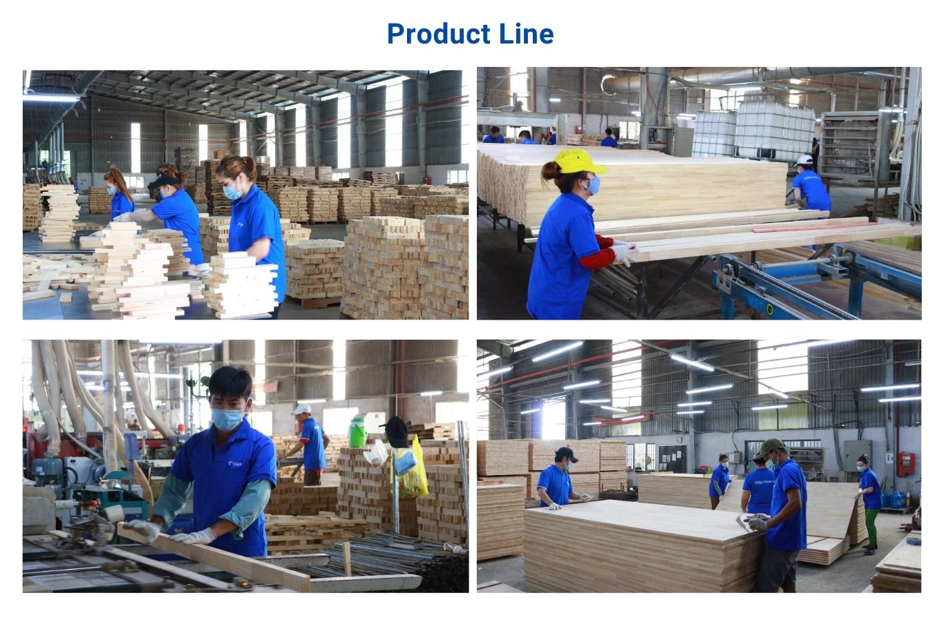 Rubberwood Finger Joint Board Supplier