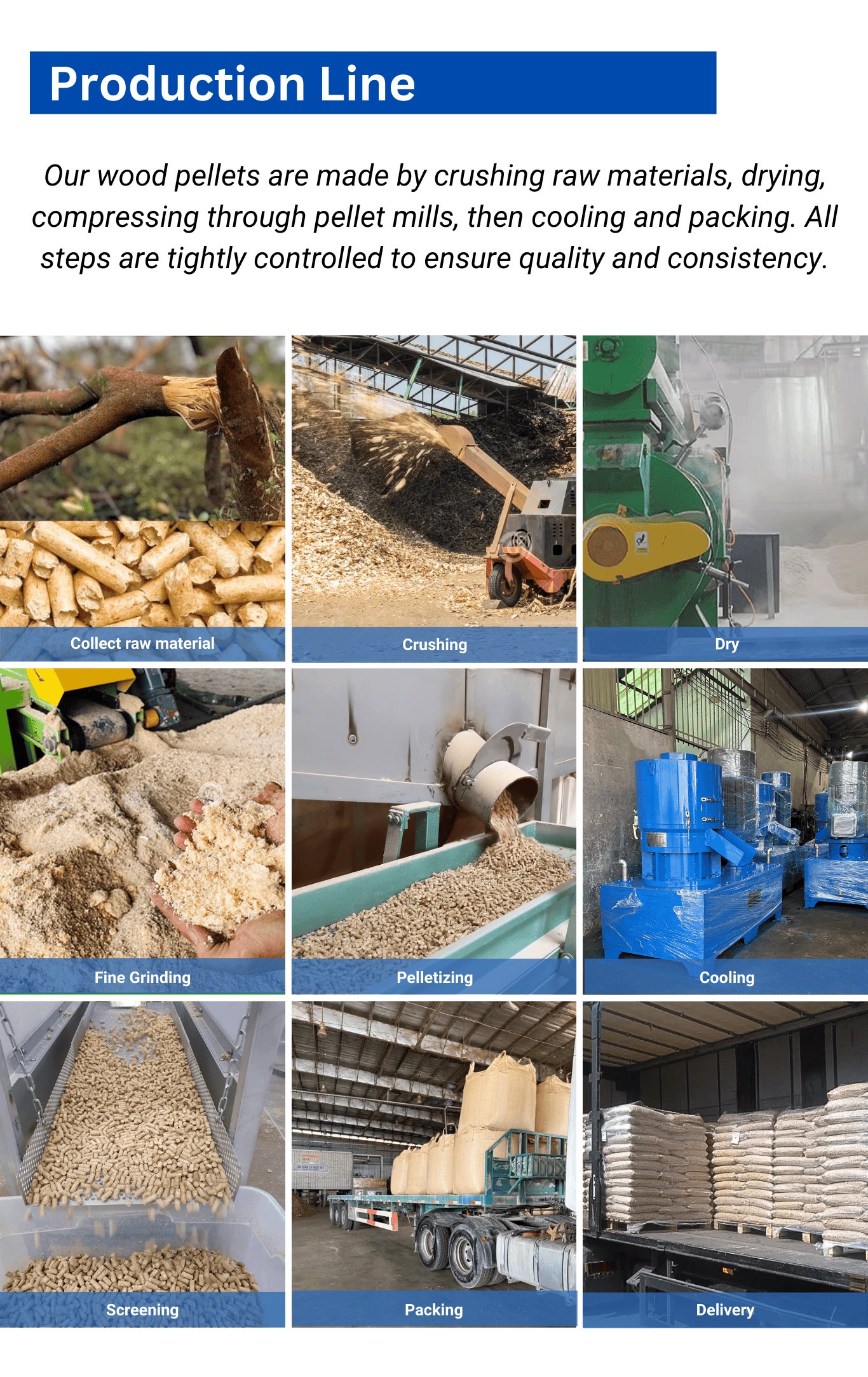 High-Efficiency Wood Pellet From SSR VINA