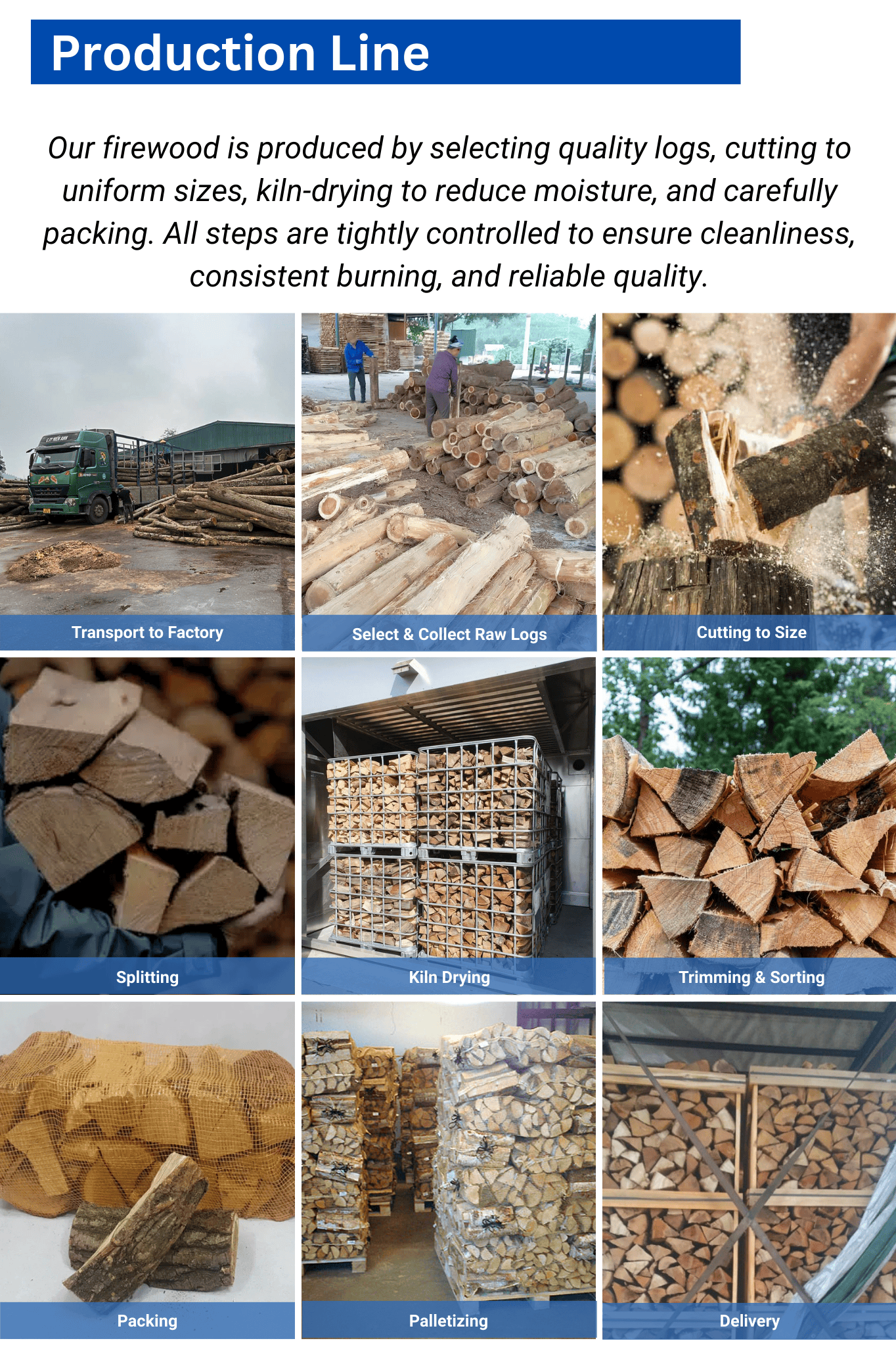 High-Efficiency Firewood From SSR VINA