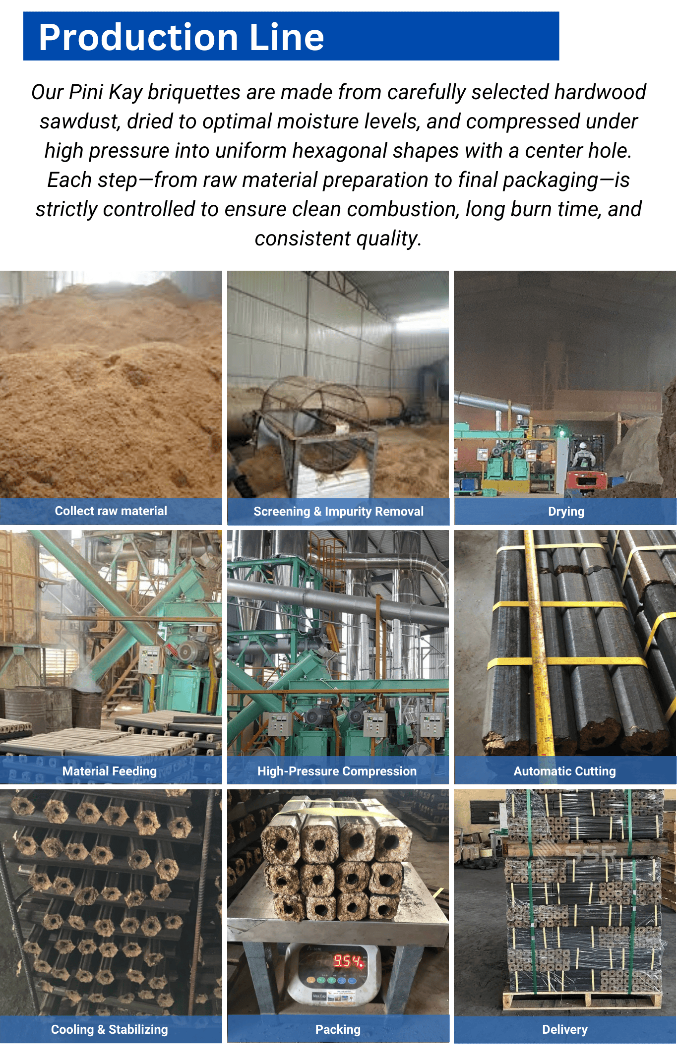 [Eco - Friendly] Pini Kay Briquettes From SSR VINA