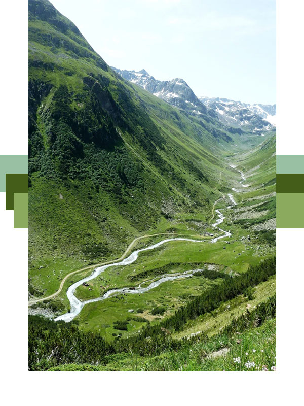 greentech carbon reduction