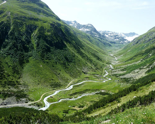 Forest Certification