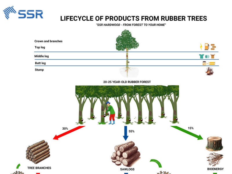 lifecycle of products