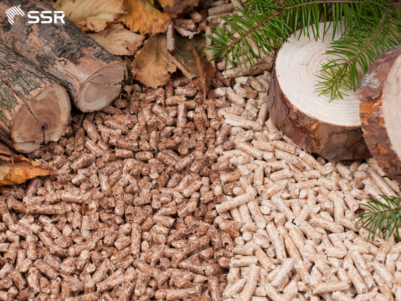is biomass good for the future