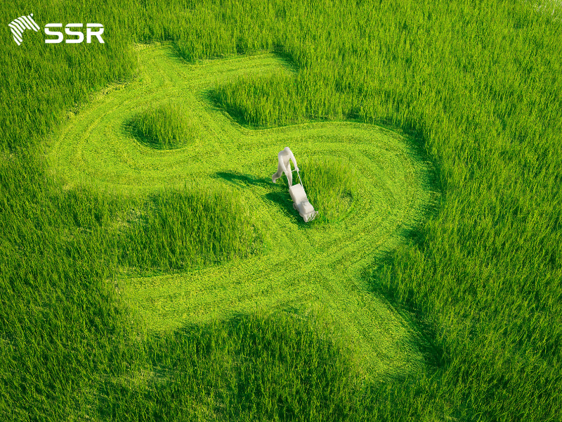 biomass supports rural economies