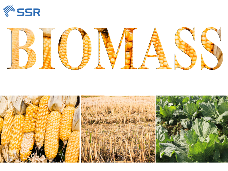 what is biomass