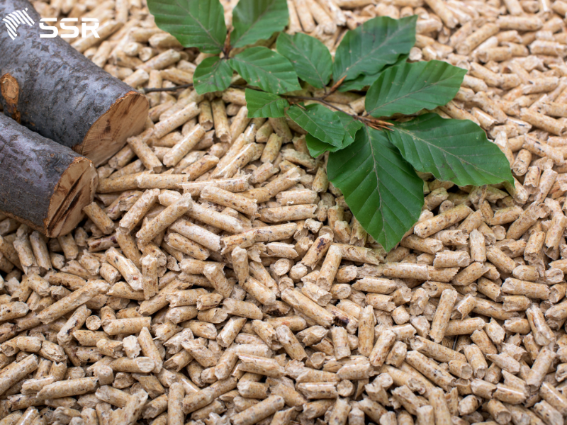 why is biomass important in renewable energy